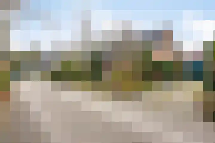 Rhienderstein 4 Ugchelen thumbnail 37