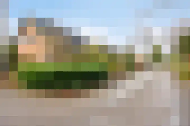 Rhienderstein 4 Ugchelen thumbnail 38