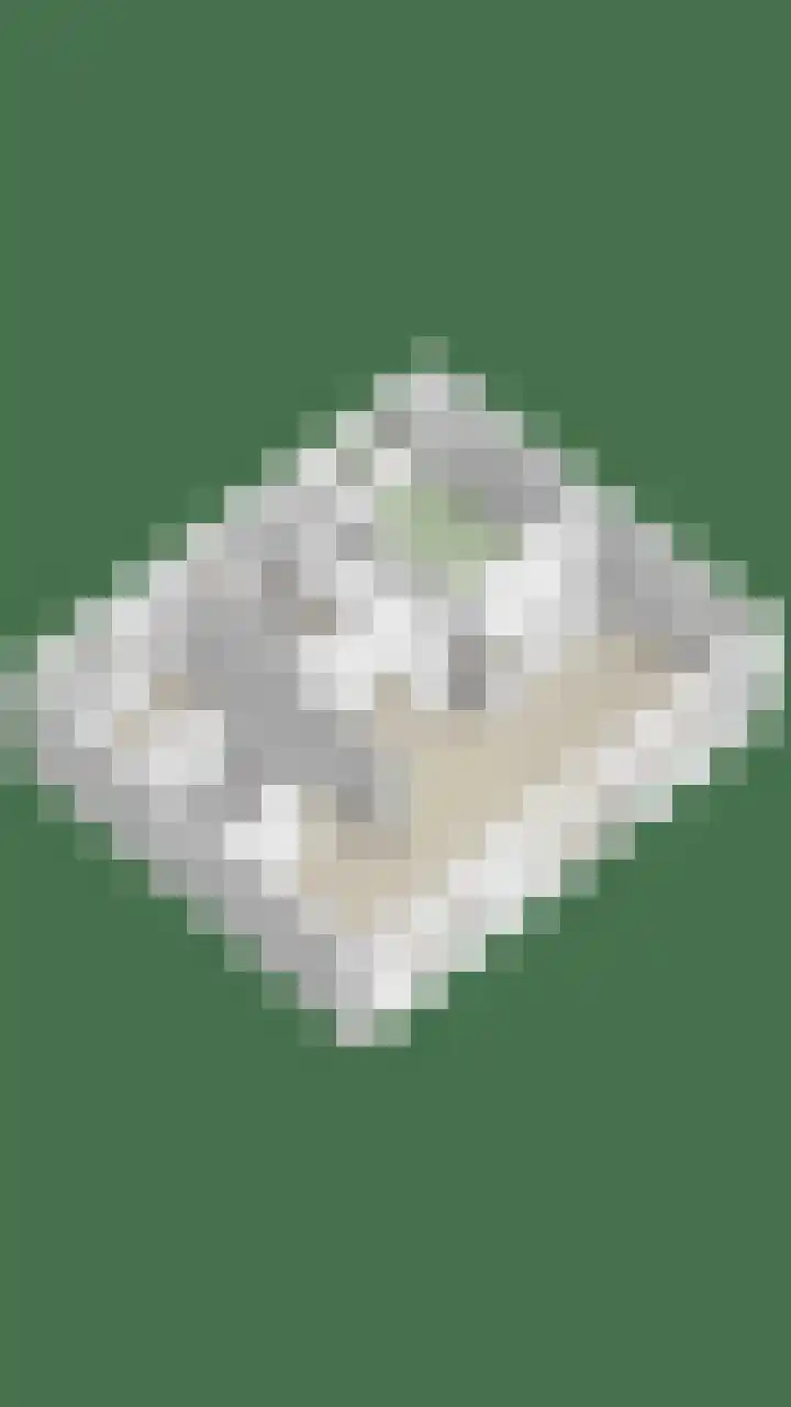 Rhienderstein 4 Ugchelen thumbnail 44