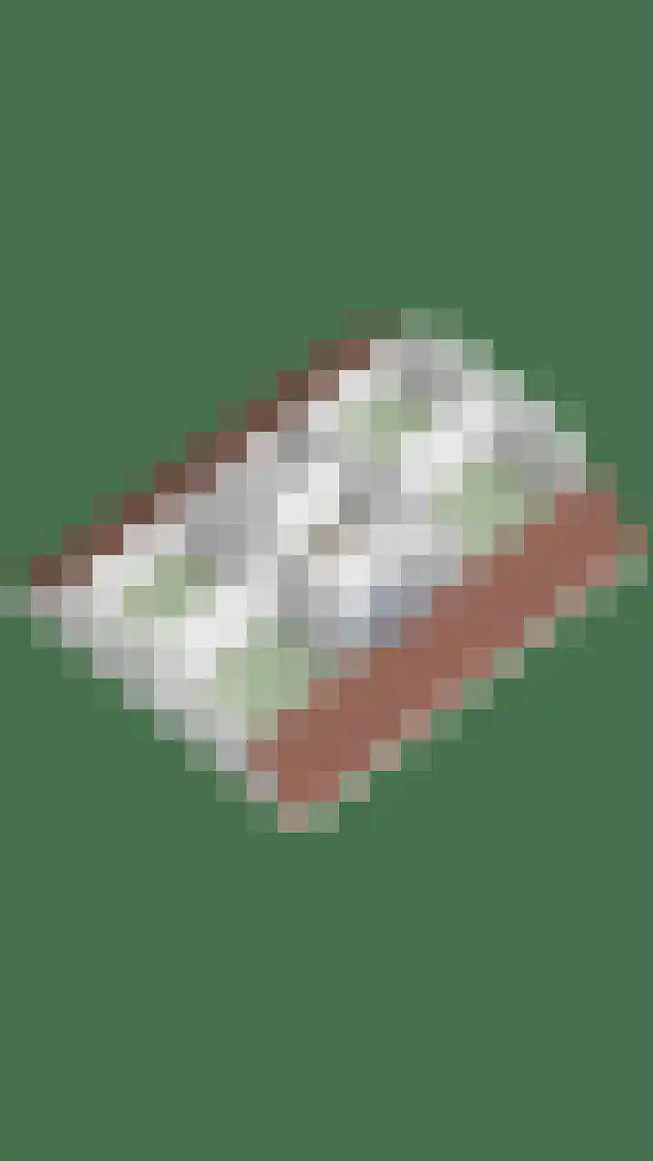 Rhienderstein 4 Ugchelen thumbnail 45