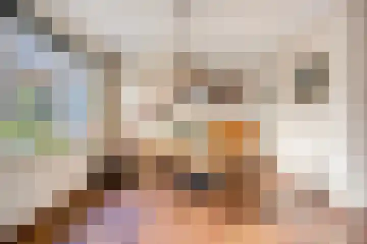 Rhienderstein 4 Ugchelen thumbnail 6