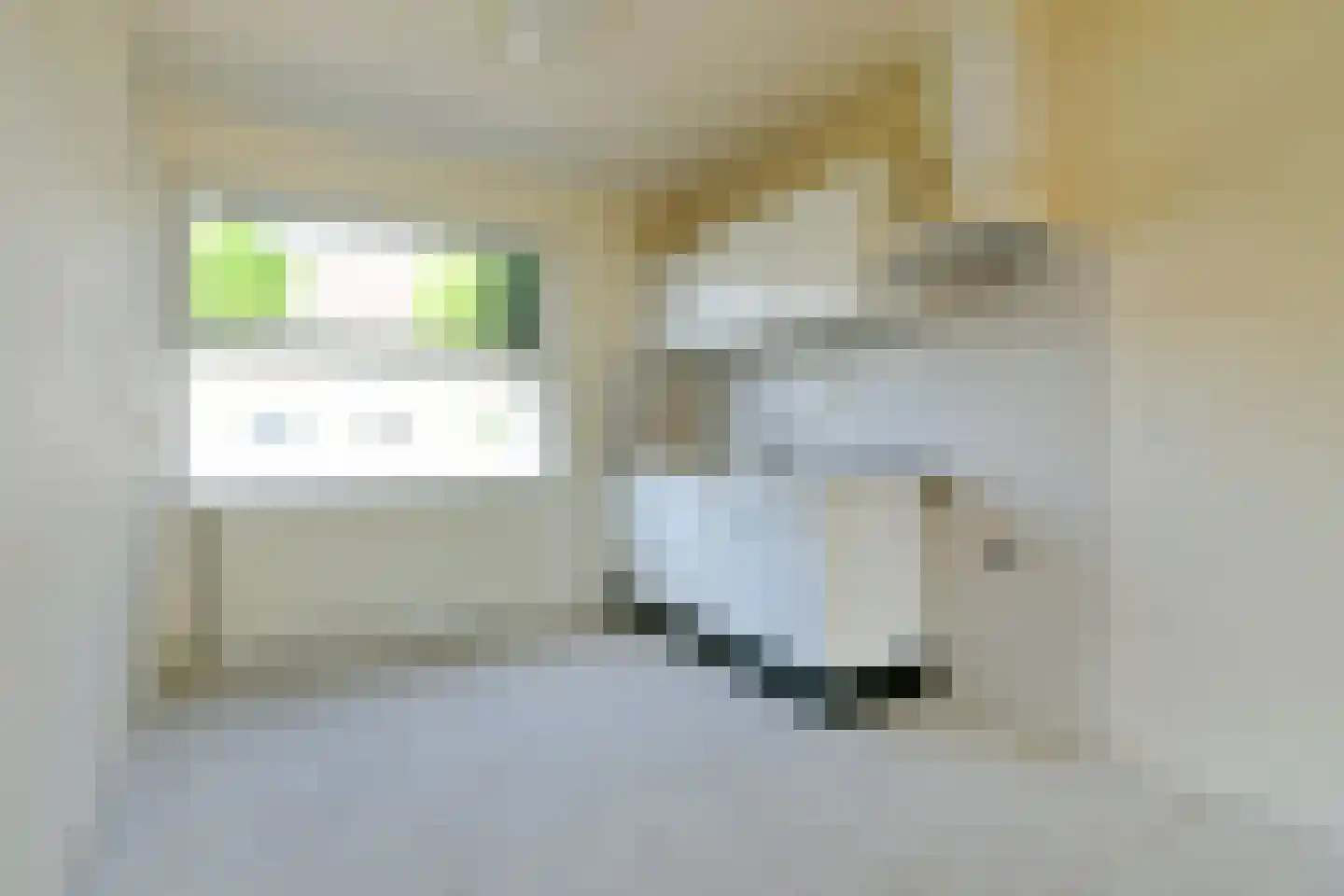Rhienderstein 47 Nieuw-Vennep thumbnail 12
