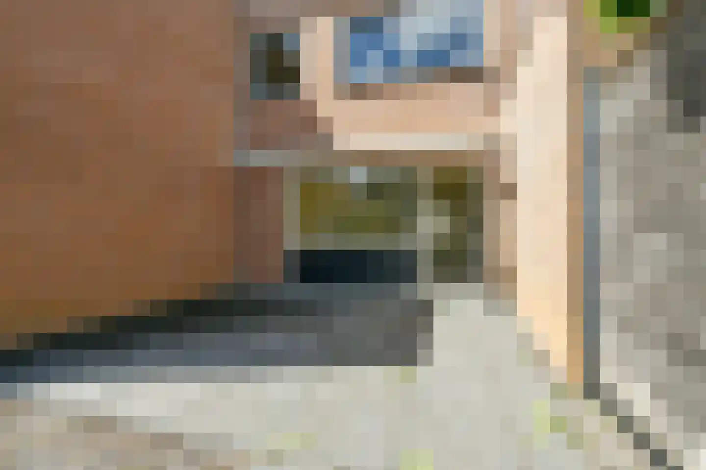 Rhienderstein 47 Nieuw-Vennep thumbnail 18