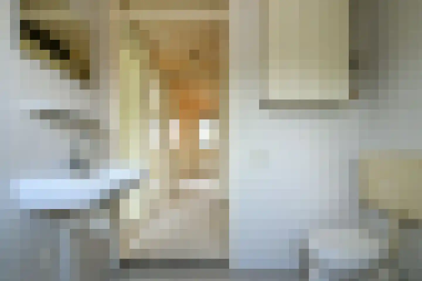 Rhienderstein 47 Nieuw-Vennep thumbnail 27