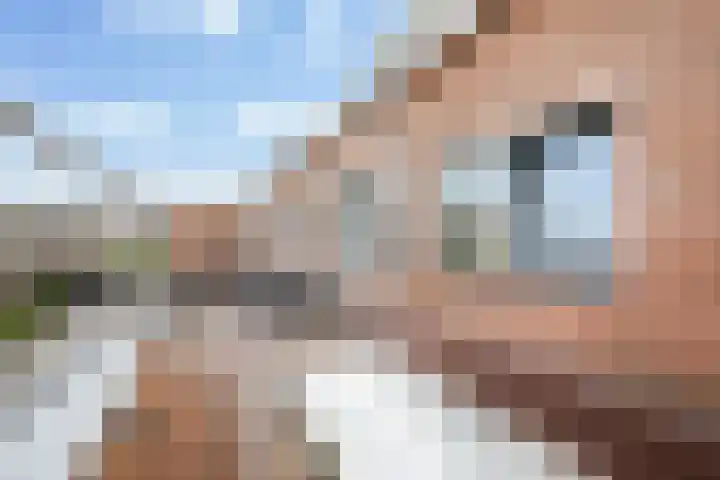 Rhienderstein 54 Nieuw-Vennep thumbnail 4