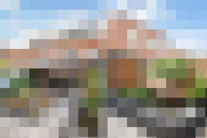 Rhienderstein 54 Nieuw-Vennep thumbnail 40