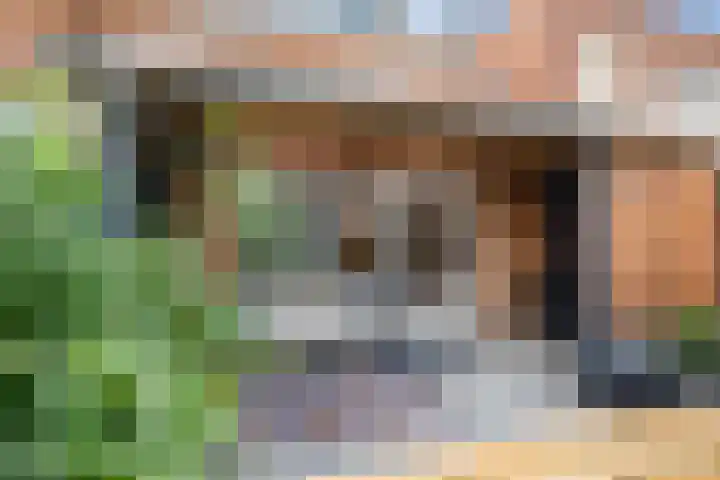 Rhienderstein 54 Nieuw-Vennep thumbnail 41
