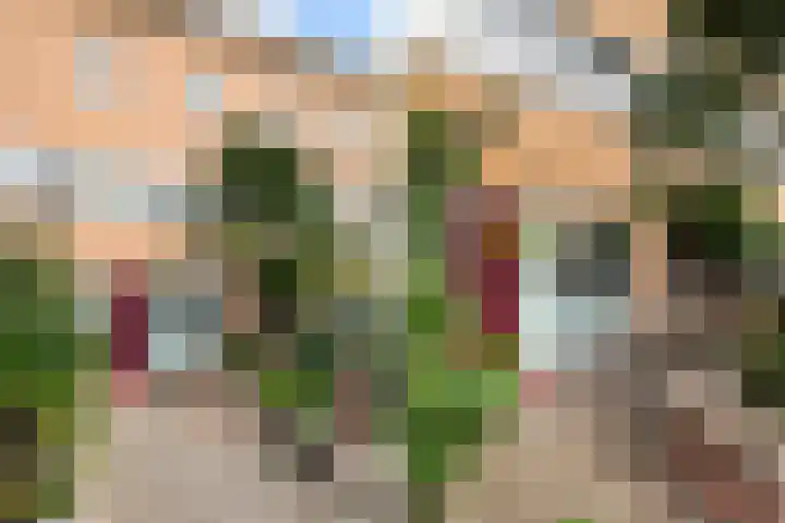 Rhienderstein 54 Nieuw-Vennep thumbnail 7