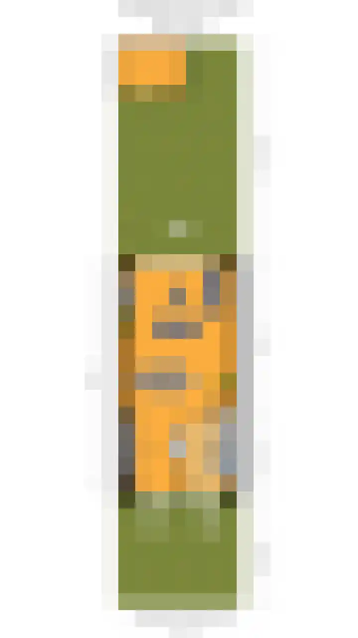 Rhienderstein 60 Nieuw-Vennep thumbnail 34