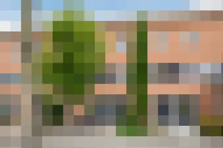 Rhienderstein 60 Nieuw-Vennep thumbnail 35