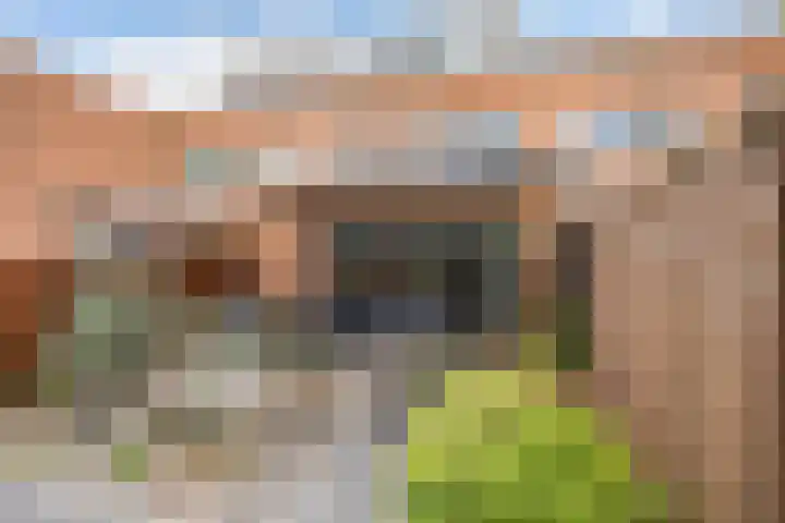 Rhienderstein 60 Nieuw-Vennep thumbnail 6