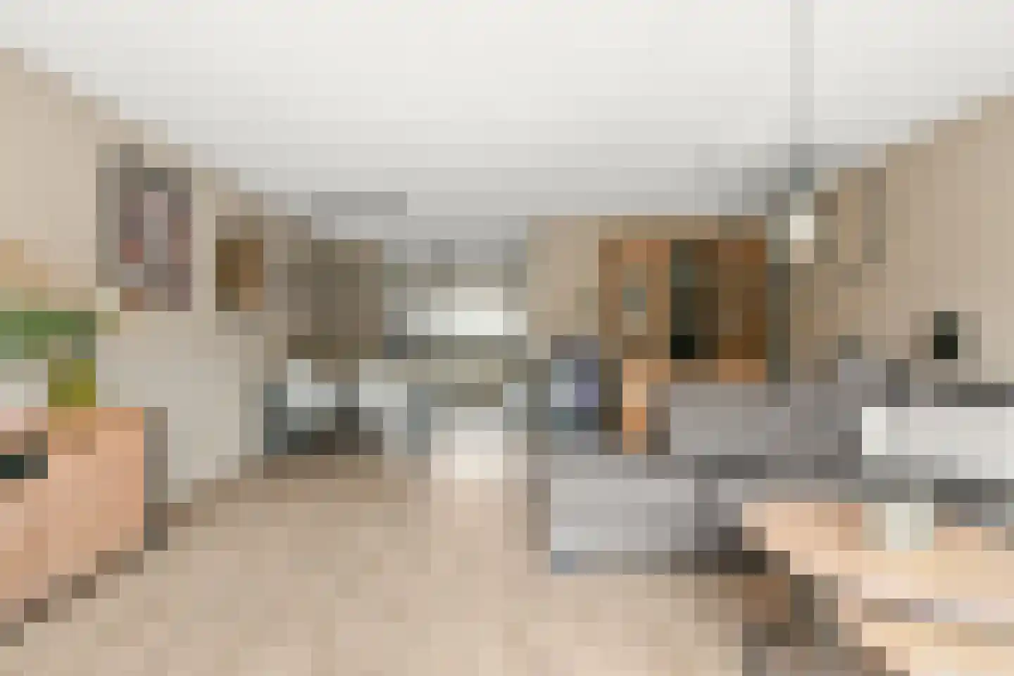 Rhienderstein 9 Nieuw-Vennep thumbnail 10