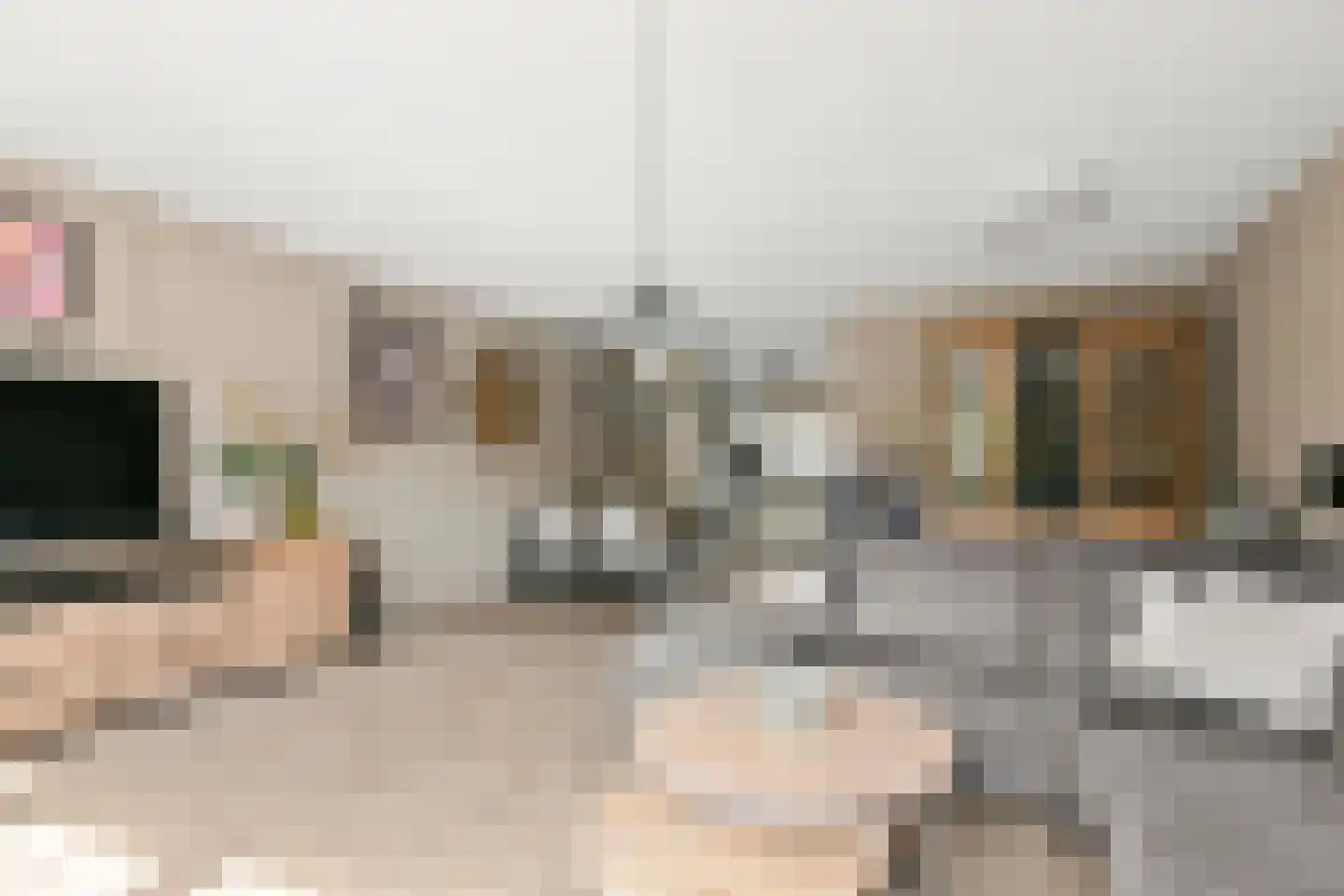 Rhienderstein 9 Nieuw-Vennep thumbnail 11