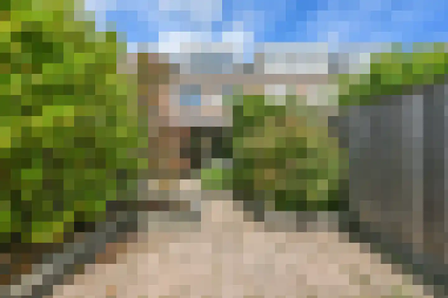 Rhienderstein 9 Nieuw-Vennep thumbnail 23