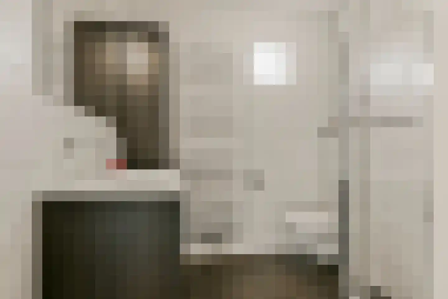 Rhienderstein 9 Nieuw-Vennep thumbnail 24