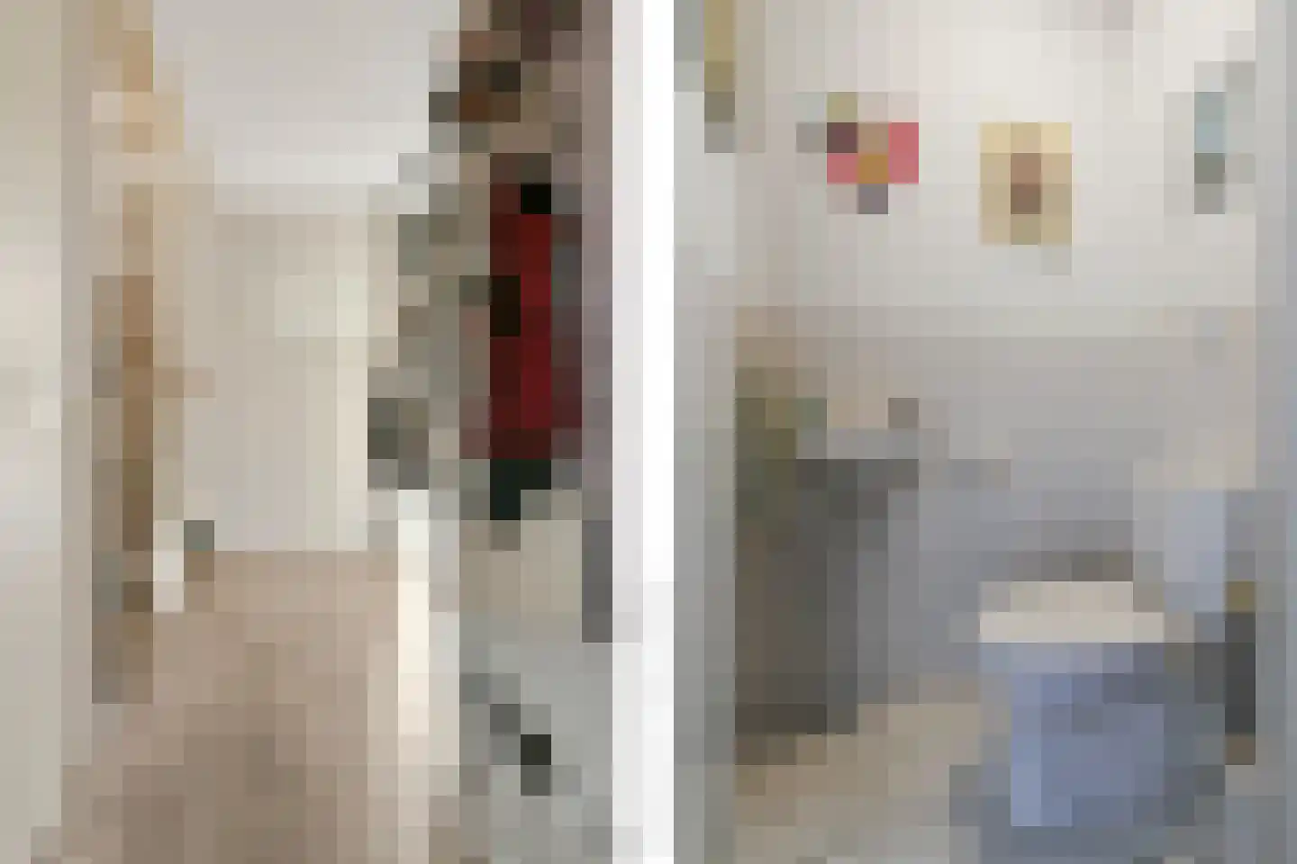 Rhienderstein 9 Nieuw-Vennep thumbnail 4