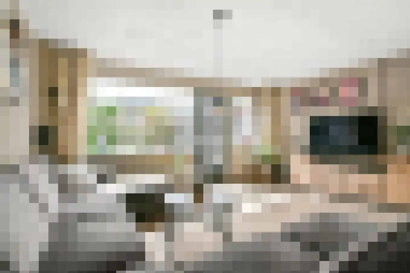 Rhienderstein 9 Nieuw-Vennep thumbnail 7