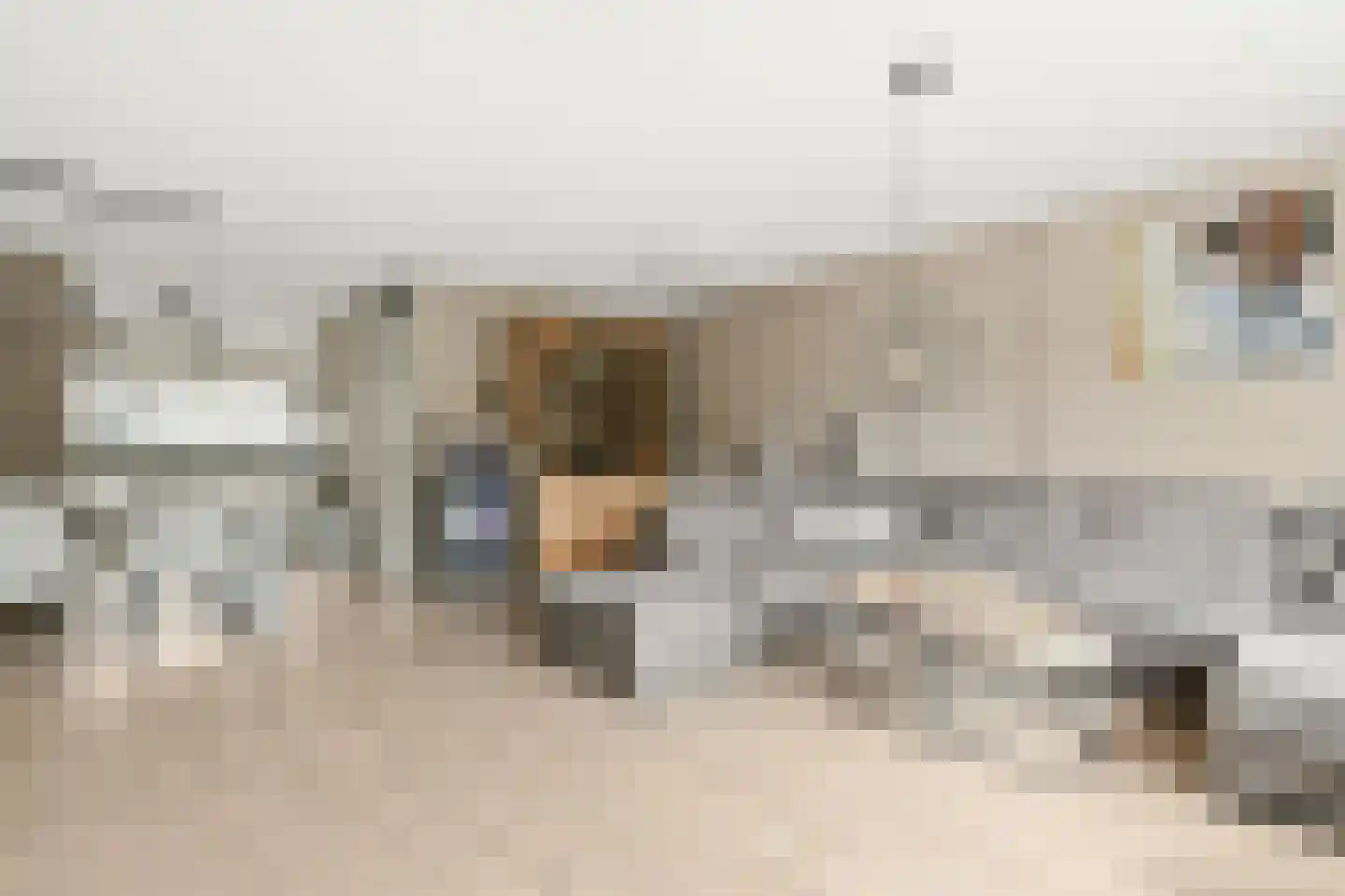 Rhienderstein 9 Nieuw-Vennep thumbnail 9