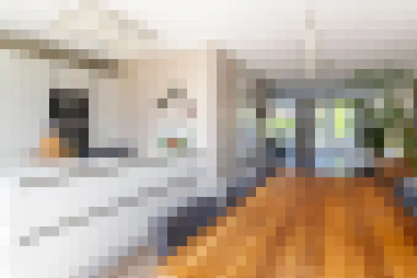 Rhijnauwen 44 Rijswijk thumbnail 14