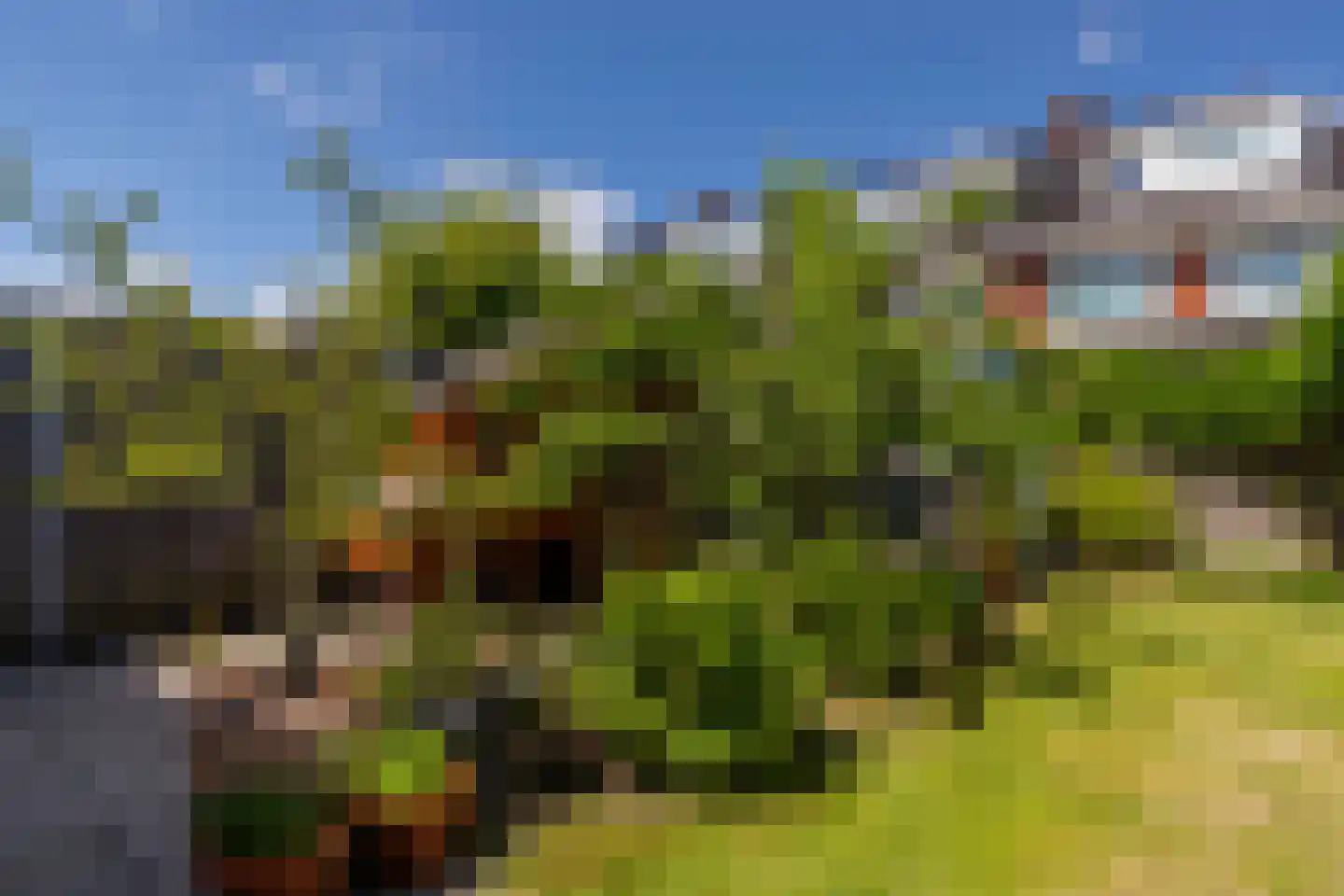 Rhijnauwen 44 Rijswijk thumbnail 24
