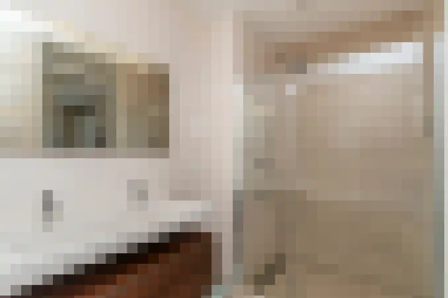 Rhijnauwen 44 Rijswijk thumbnail 39