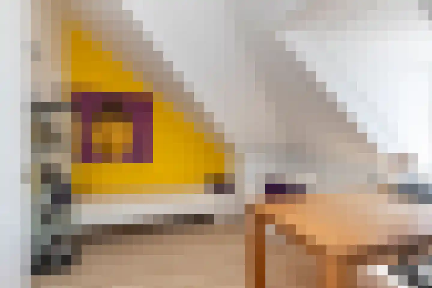 Rhijnauwen 44 Rijswijk thumbnail 42