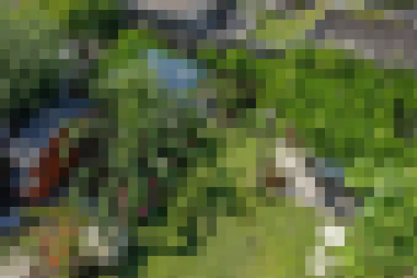 Rhijnauwen 44 Rijswijk thumbnail 5