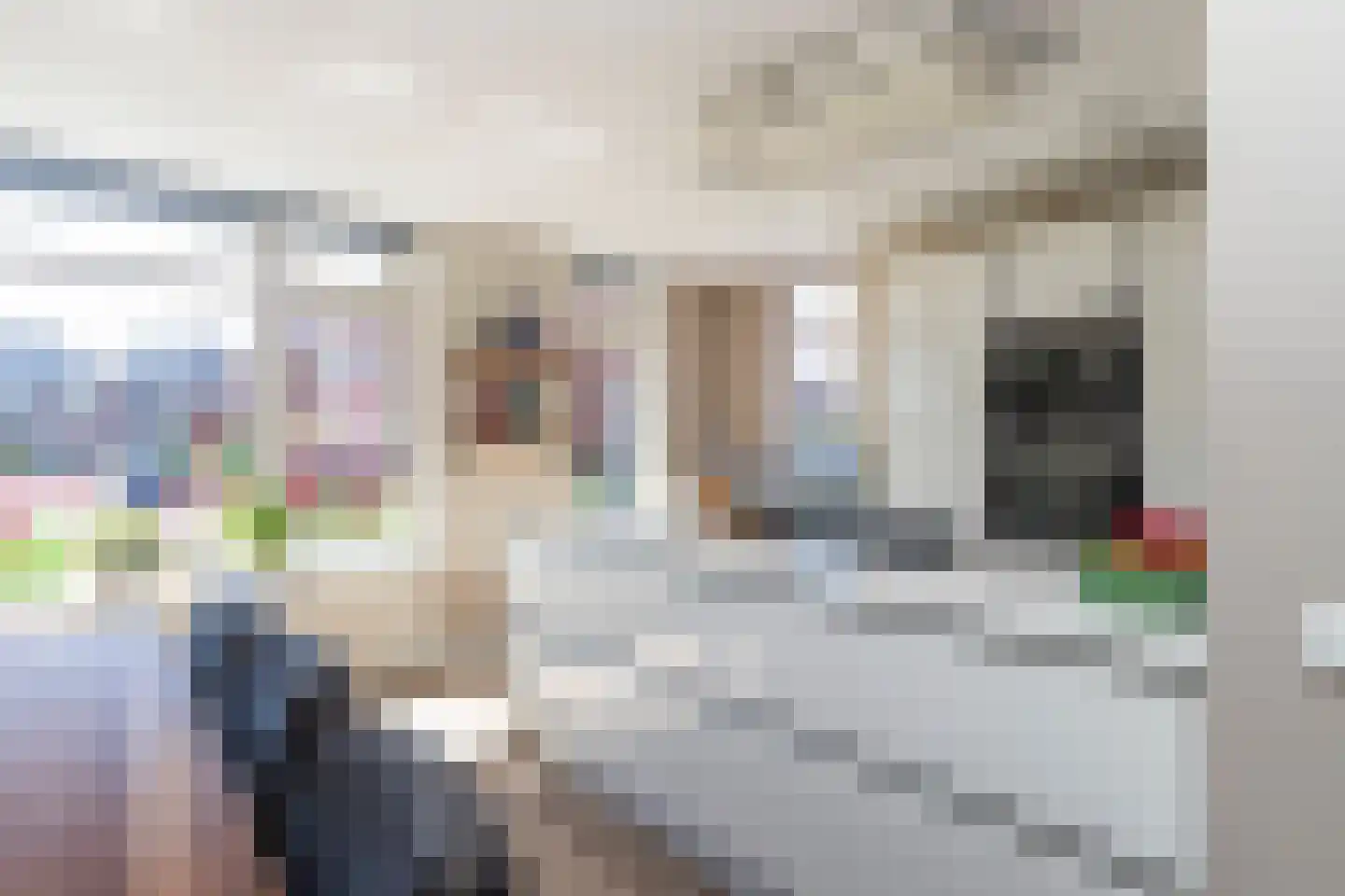 Rhijnauwen 44 Rijswijk thumbnail 9