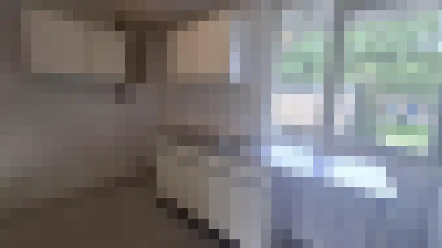 Rhijnauwensingel 17 Rotterdam thumbnail 10