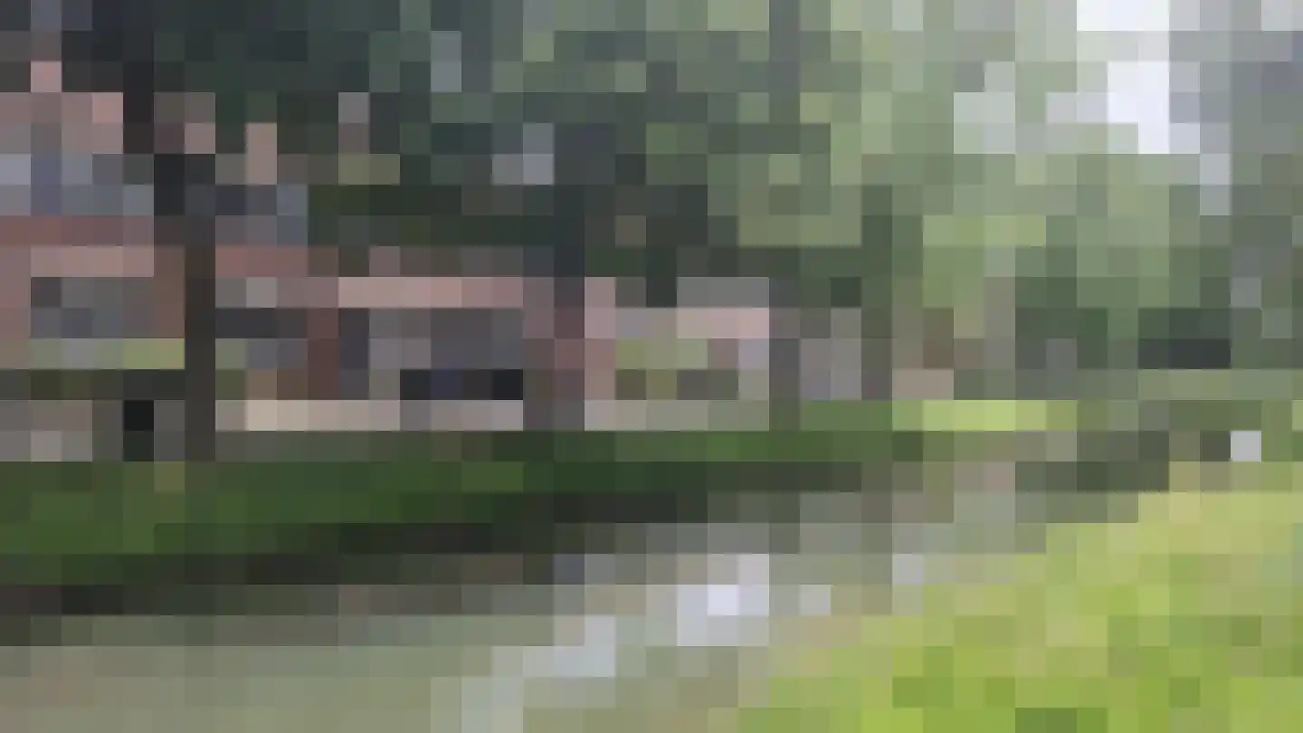Rhijnauwensingel 17 Rotterdam thumbnail 4