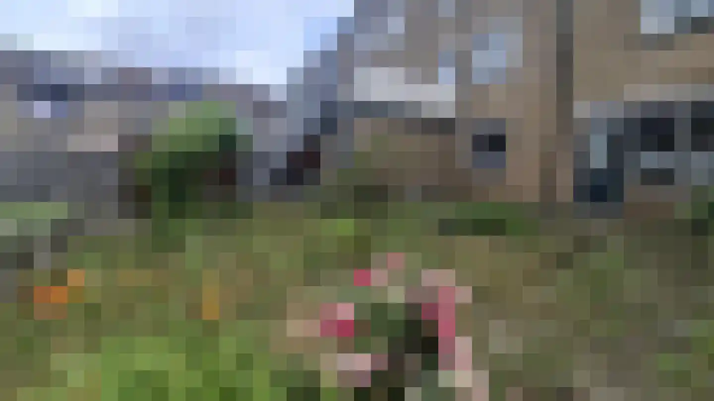 Rhijnauwensingel 17 Rotterdam thumbnail 8