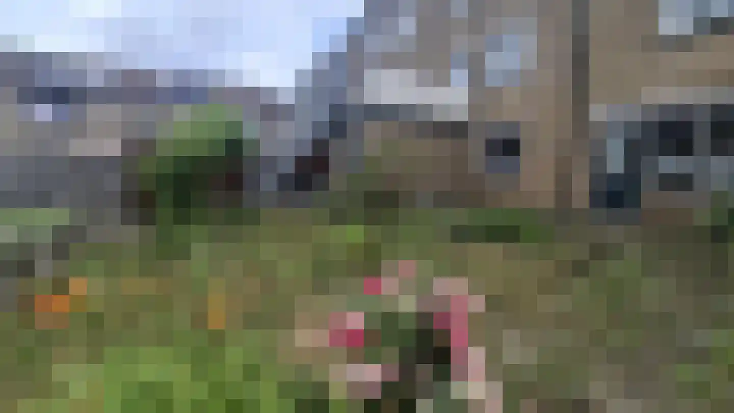 Rhijnauwensingel 17 Rotterdam thumbnail 8