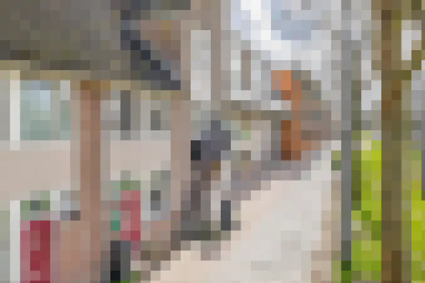 Rhijnauwensingel 208 Rotterdam