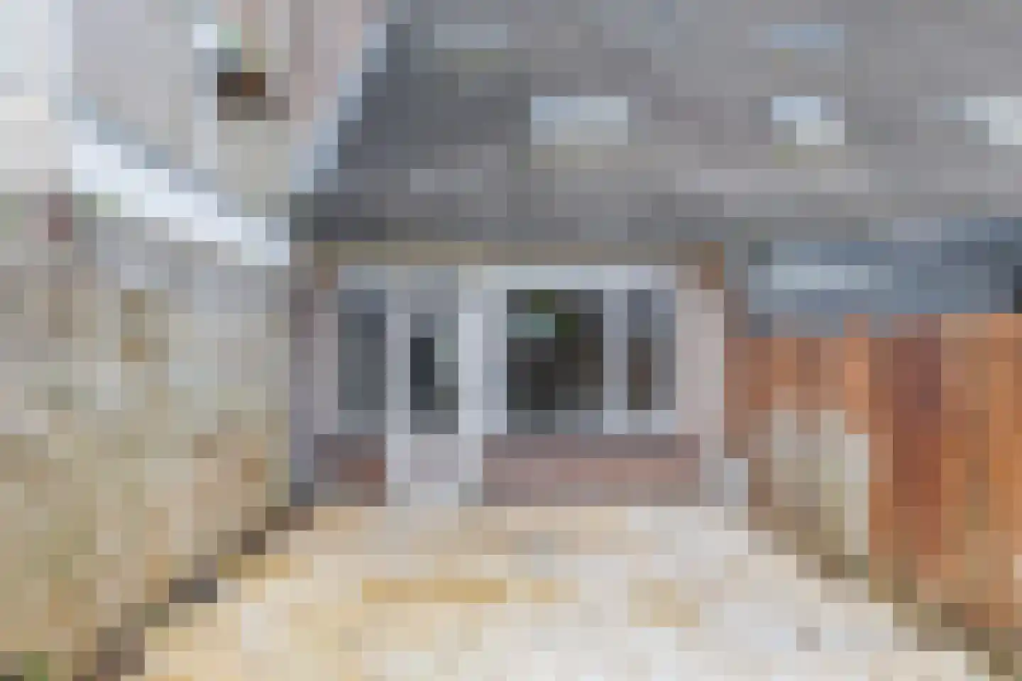 Rhijnauwensingel 208 Rotterdam thumbnail 17