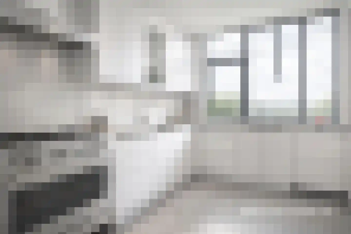 Rhijnauwensingel 208 Rotterdam thumbnail 19