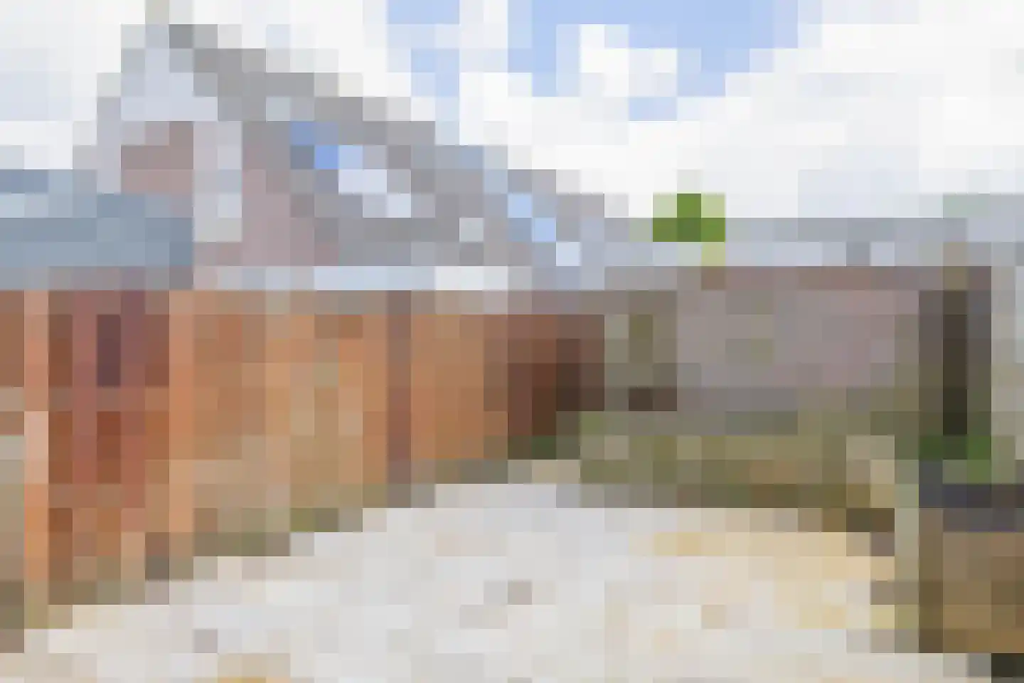 Rhijnauwensingel 208 Rotterdam thumbnail 20