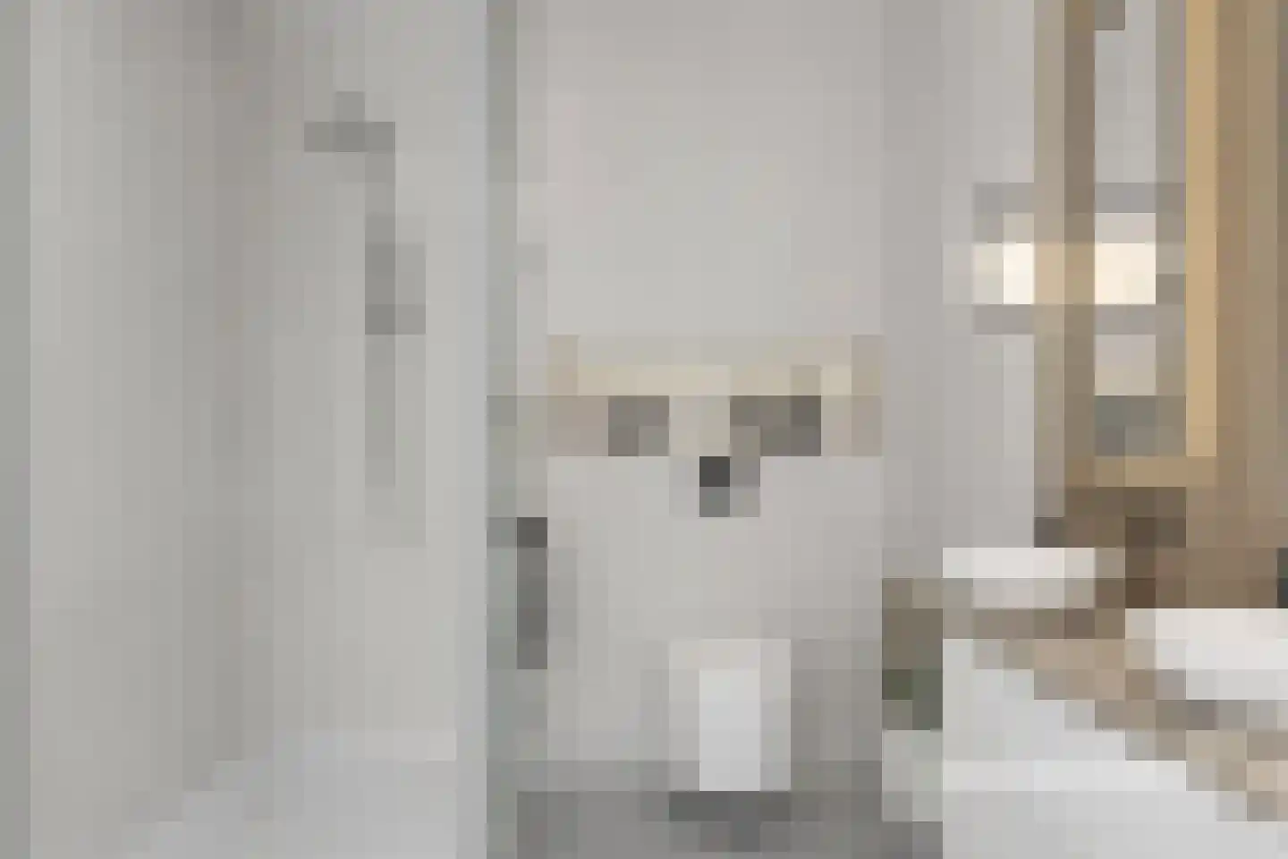 Rhijnauwensingel 208 Rotterdam thumbnail 30