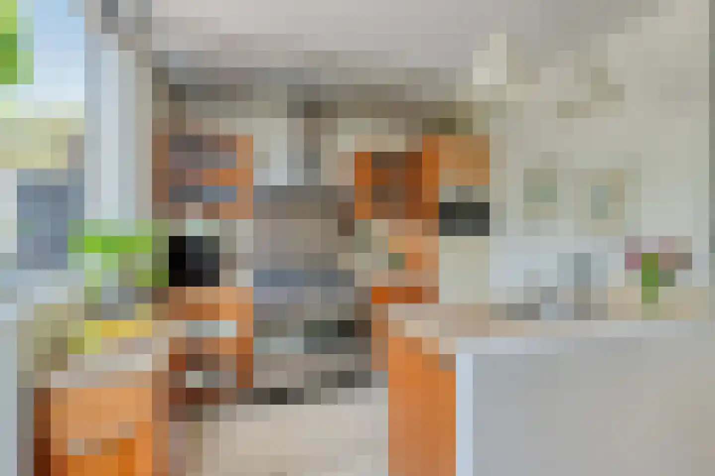 Rhijnauwensingel 459 Rotterdam thumbnail 7