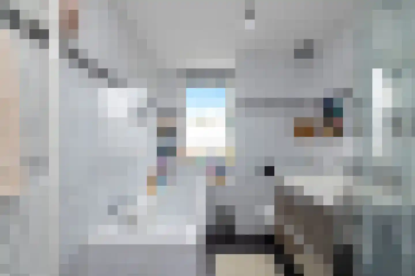 Rhijnauwensingel 63 Rotterdam thumbnail 30