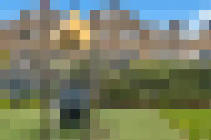 Rhijnauwensingel 63 Rotterdam thumbnail 5