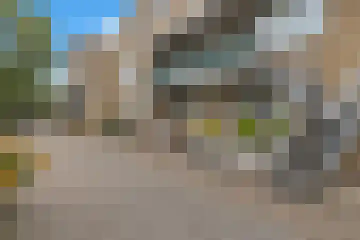 Rhijnauwensingel 63 Rotterdam thumbnail 8