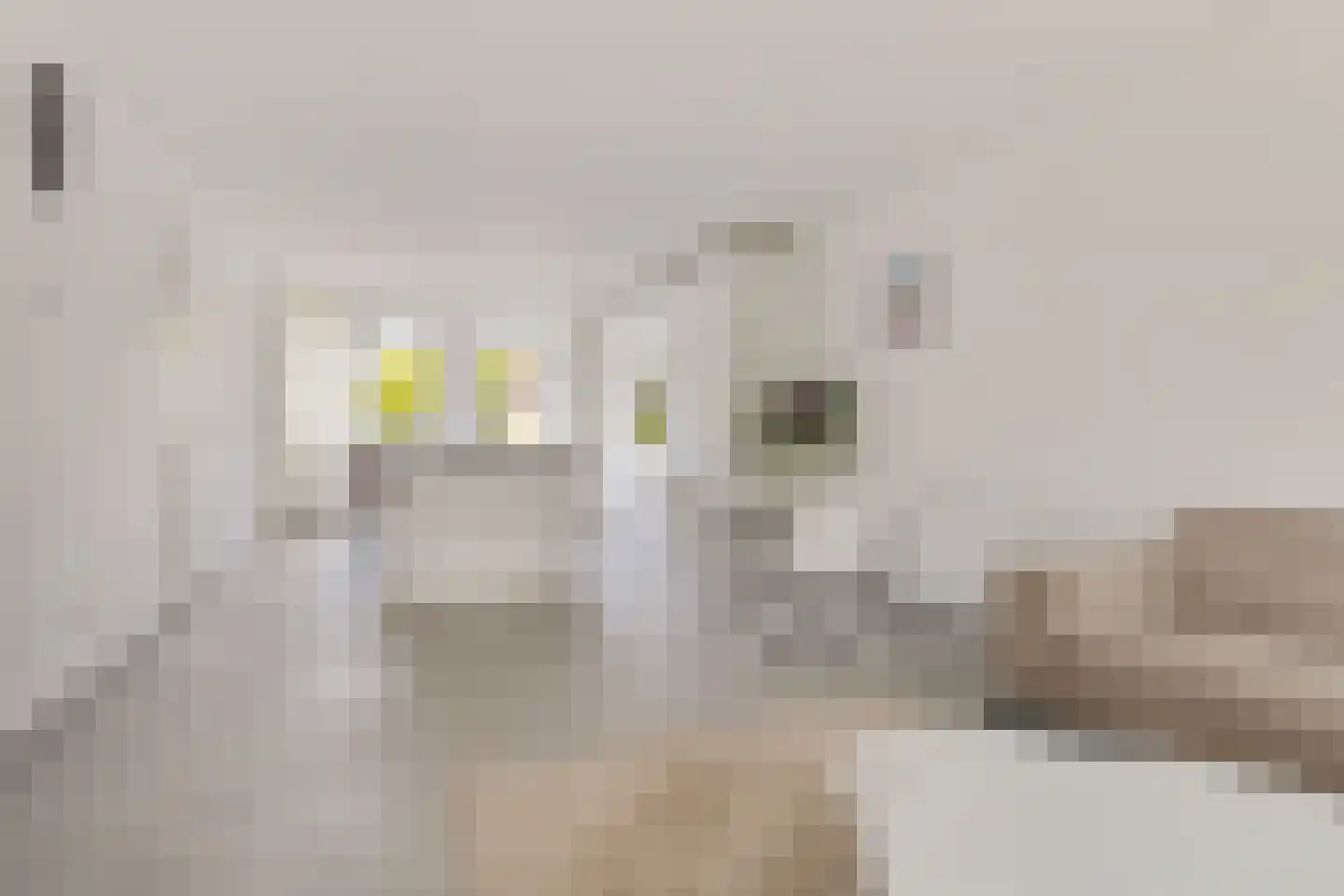 Rhijnauwensingel 73 Rotterdam thumbnail 13