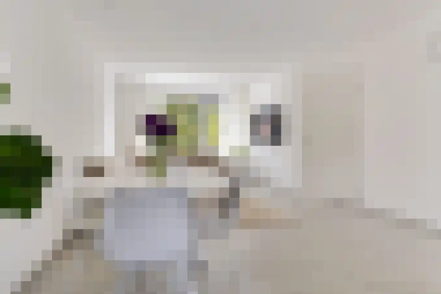 Rhijnauwensingel 73 Rotterdam thumbnail 15