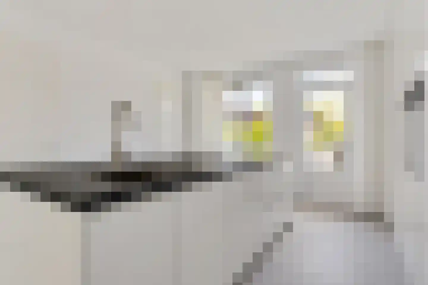 Rhijnauwensingel 73 Rotterdam thumbnail 19