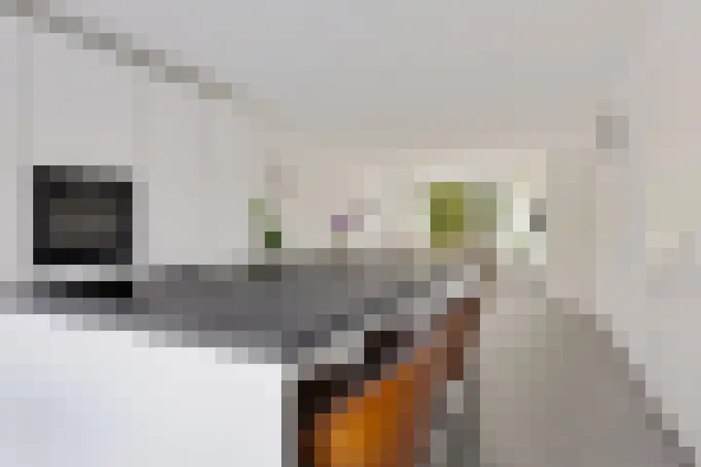 Rhijnauwensingel 73 Rotterdam thumbnail 22