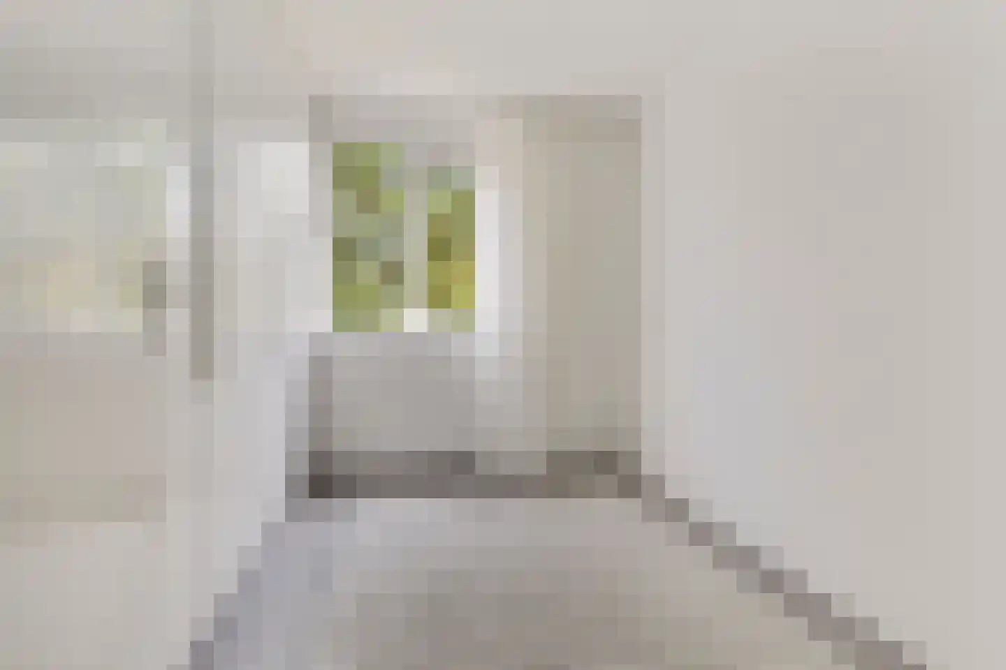 Rhijnauwensingel 73 Rotterdam thumbnail 30