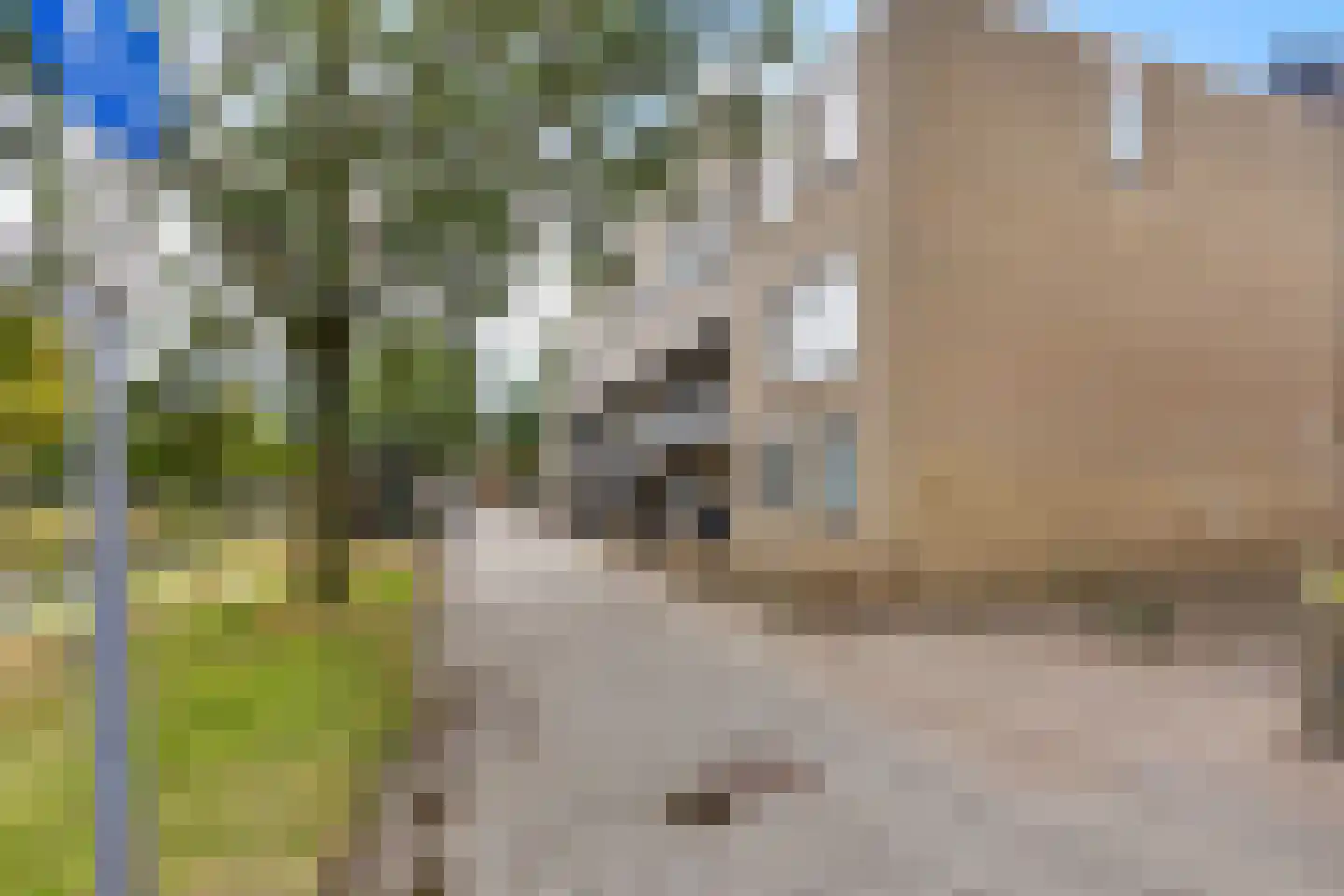 Rhijnauwensingel 73 Rotterdam thumbnail 44