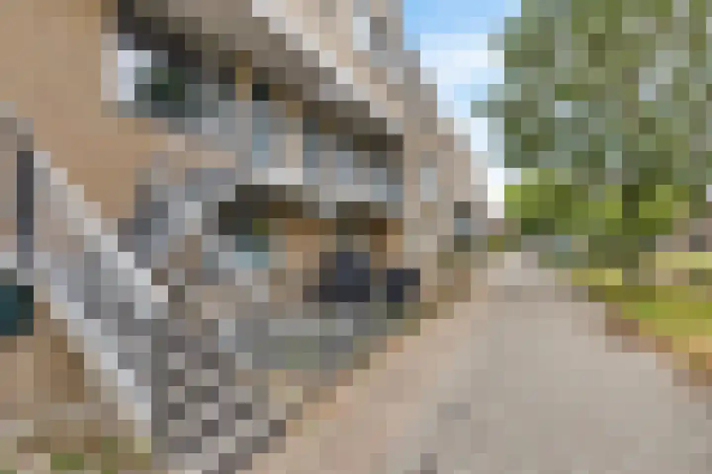 Rhijnauwensingel 73 Rotterdam thumbnail 7