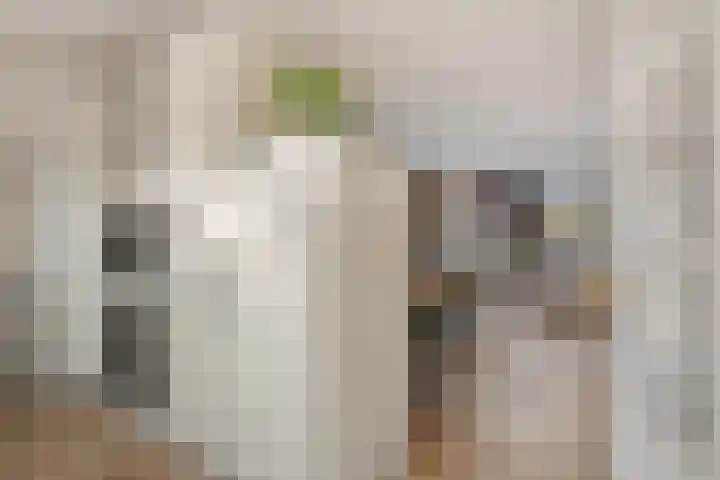 Rhijnauwensingel 93 Rotterdam thumbnail 13