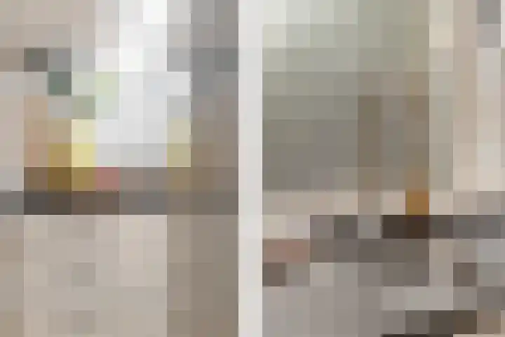 Rhijnauwensingel 93 Rotterdam thumbnail 17
